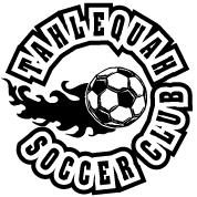 Youth Soccer League Graphics
